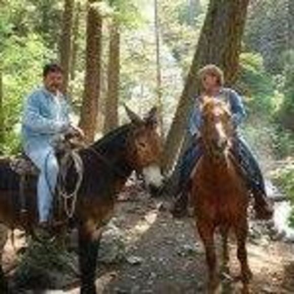 Meet your Posher, Heidi - Picture 1 of 1